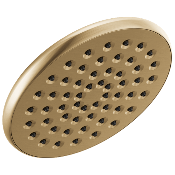 Delta - Single-Setting Raincan Shower Head