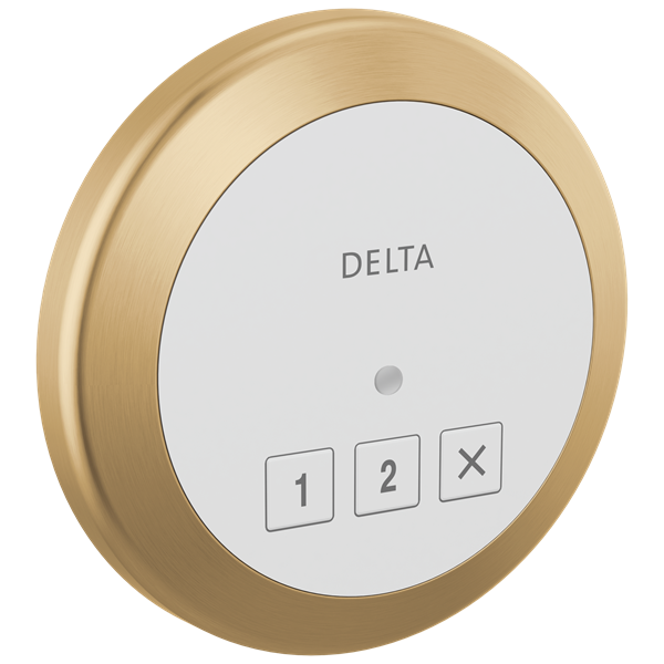 Delta - Round Exterior Steam Control