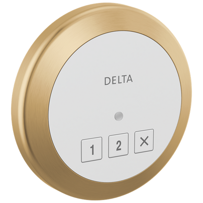 Delta - Round Exterior Steam Control