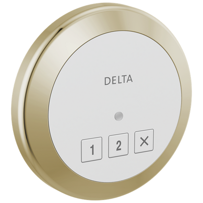 Delta - Round Exterior Steam Control