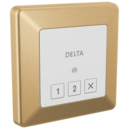 Delta - Square Exterior Steam Control