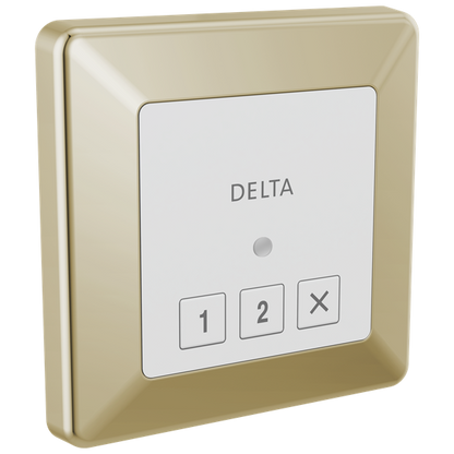 Delta - Square Exterior Steam Control