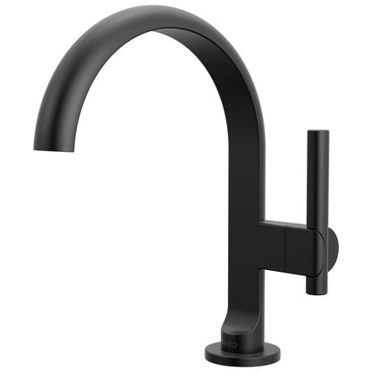 Brizo - Roccesco Single-Handle Lavatory Faucet with Arc Spout