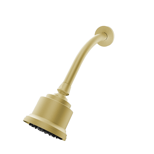 Santec - Multifunction Cylindrical Showerhead With Arm And Flange