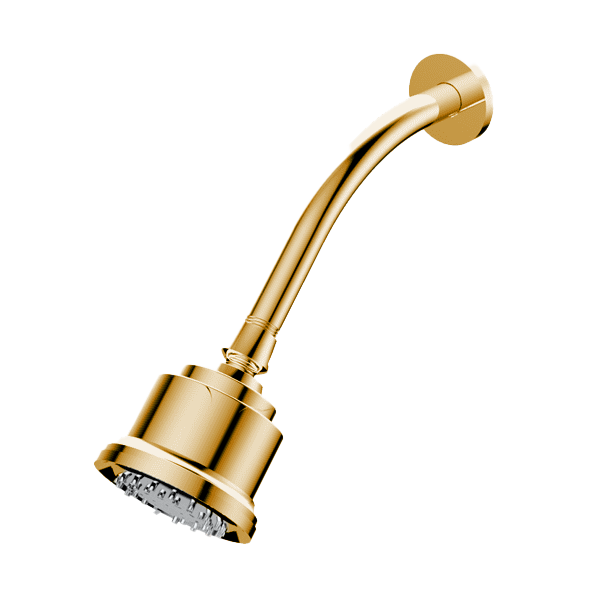 Santec - Multifunction Cylindrical Showerhead With Arm And Flange