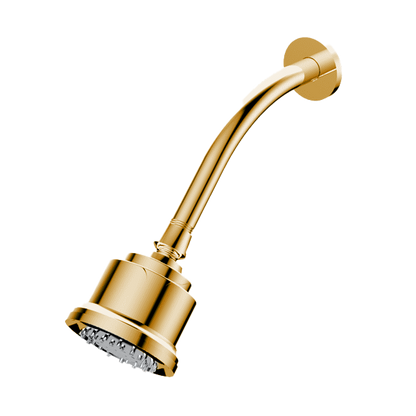 Santec - Multifunction Cylindrical Showerhead With Arm And Flange