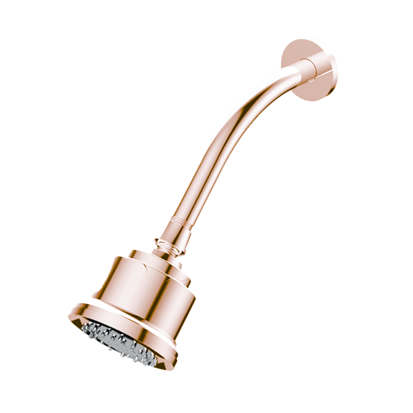 Santec - Multifunction Cylindrical Showerhead With Arm And Flange