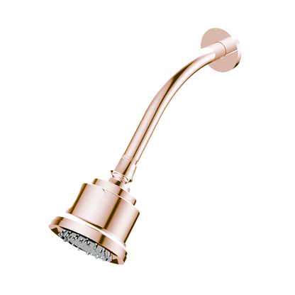 Santec - Multifunction Cylindrical Showerhead With Arm And Flange