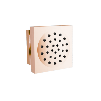 Santec - All Brass Body Spray With Flange
