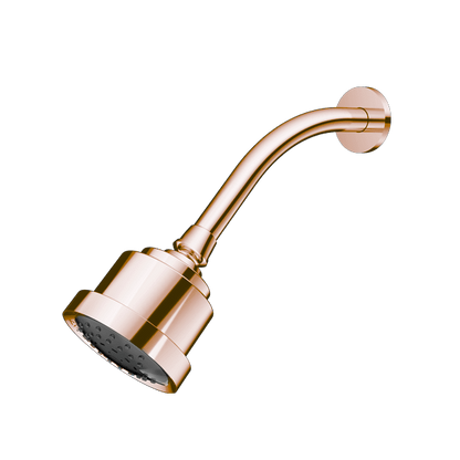 Santec - Multifunction Cylindrical Showerhead With Arm And Flange