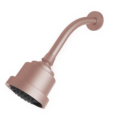 Santec - Multifunction Cylindrical Showerhead With Arm And Flange