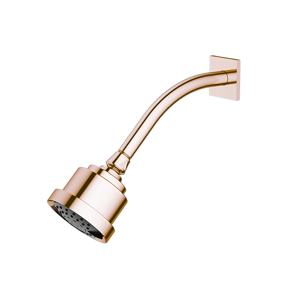 Santec - Multifunction Cylindrical Showerhead With Arm And Flange