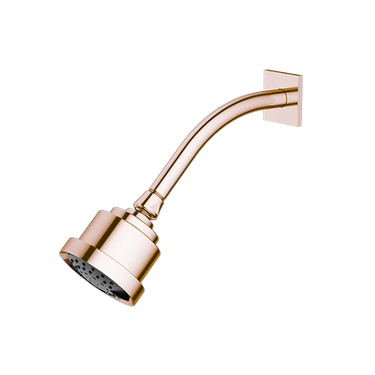 Santec - Multifunction Cylindrical Showerhead With Arm And Flange