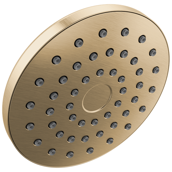 Delta - Pivotpro Raincan Shower Head