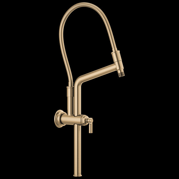 Brizo - Essential Shower 10 7/16 Inch Classic Slide Bar Shower Arm And Flange