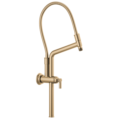 Brizo - Essential Shower 10 7/16 Inch Classic Slide Bar Shower Arm And Flange