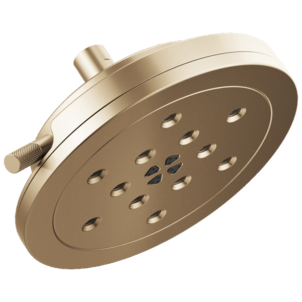 Brizo - Litze 8 Inch H2Okinetic Round Multi-Function Wall Mount