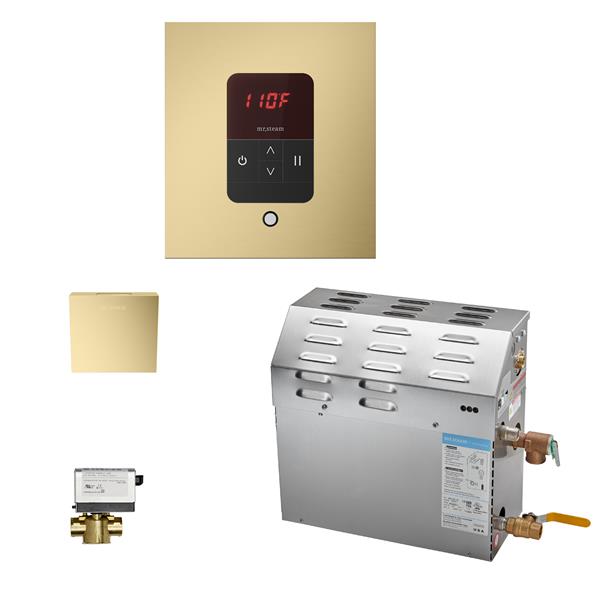Mr. Steam - Ms (Itempo) 9 Kw (9000 W) Steam Shower Generator Package With Itempo Control Square