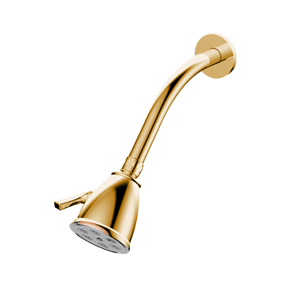 Santec - Standard 6 Port Showerhead With Arm And Flange