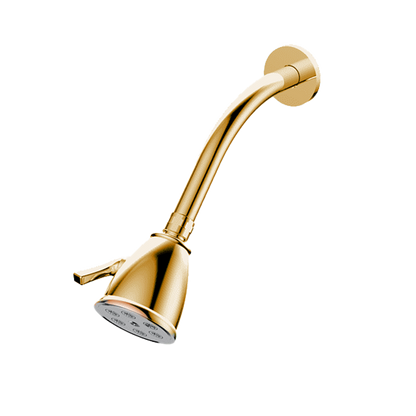 Santec - Standard 6 Port Showerhead With Arm And Flange