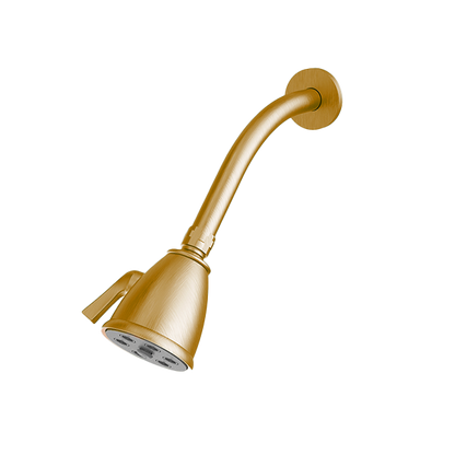 Santec - Standard 6 Port Showerhead With Arm And Flange