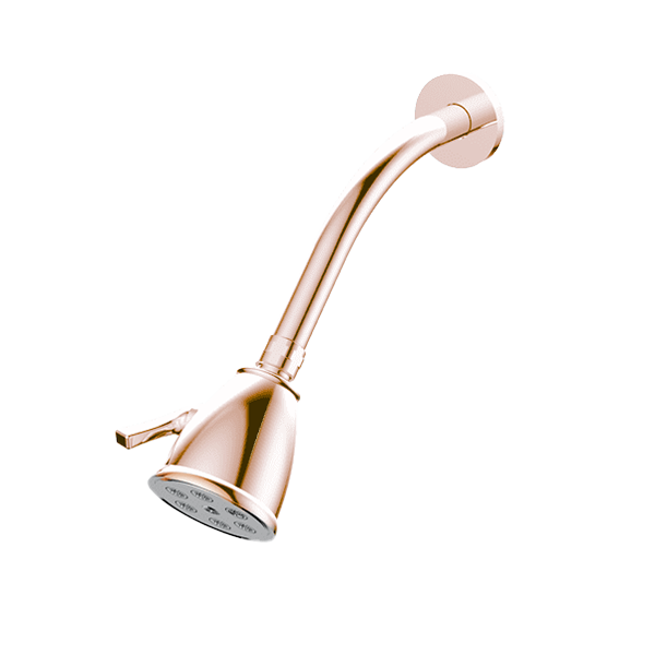 Santec - Standard 6 Port Showerhead With Arm And Flange