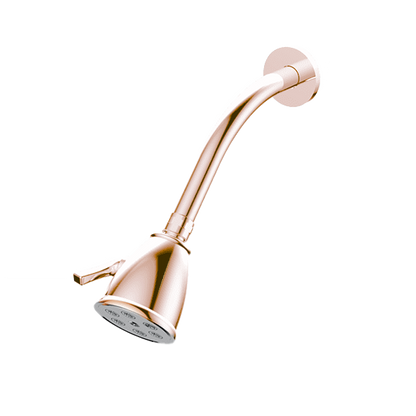 Santec - Standard 6 Port Showerhead With Arm And Flange