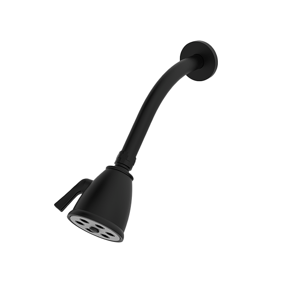 Santec - Standard 6 Port Showerhead With Arm And Flange