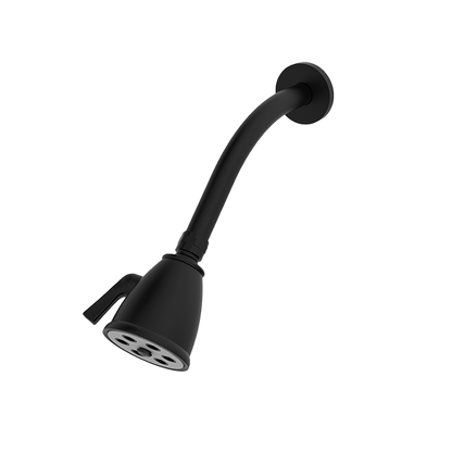 Santec - Standard 6 Port Showerhead With Arm And Flange