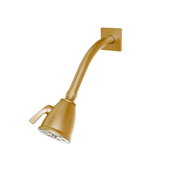 Santec - Standard 6 Port Showerhead With Arm And Flange