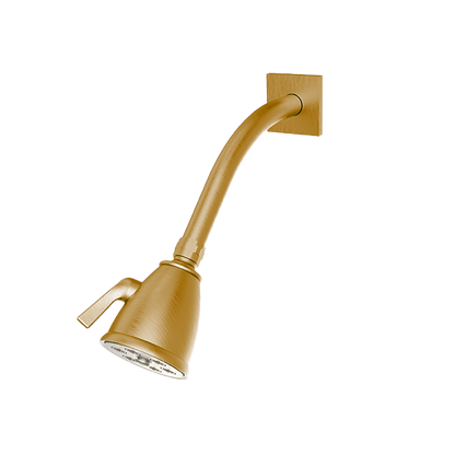 Santec - Standard 6 Port Showerhead With Arm And Flange