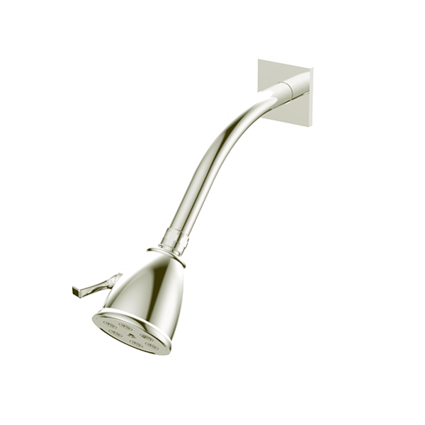 Santec - Standard 6 Port Showerhead With Arm And Flange