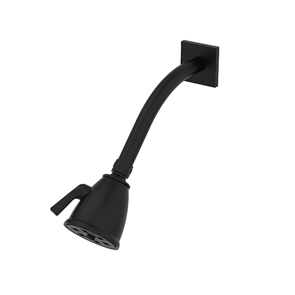 Santec - Standard 6 Port Showerhead With Arm And Flange