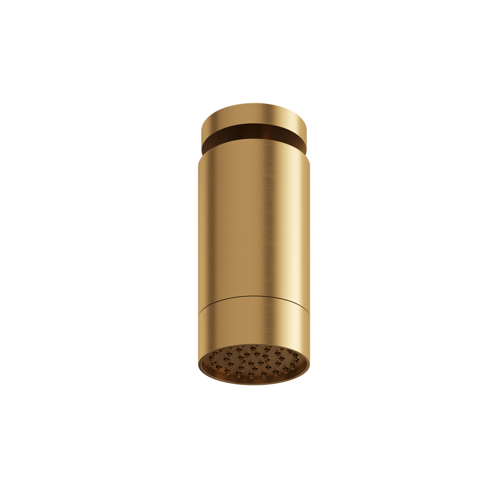 Aquabrass - Rainhead W/Ceiling Arm-Smooth Ring