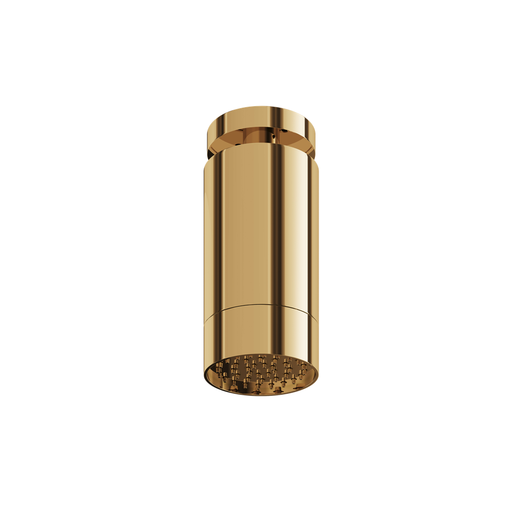 Aquabrass - Rainhead W/Ceiling Arm-Smooth Ring