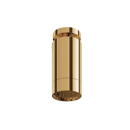 Aquabrass - Rainhead W/Ceiling Arm-Smooth Ring