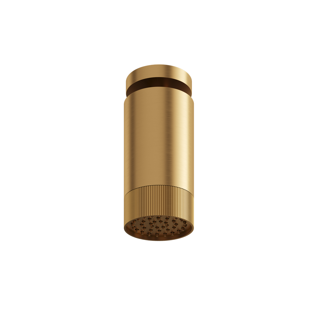 Aquabrass - Rainhead W/Ceiling Arm-Textured Ring