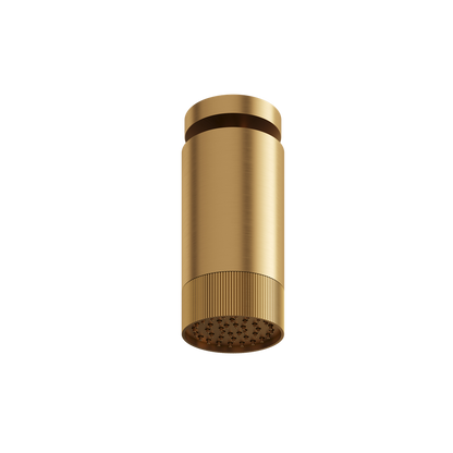 Aquabrass - Rainhead W/Ceiling Arm-Textured Ring
