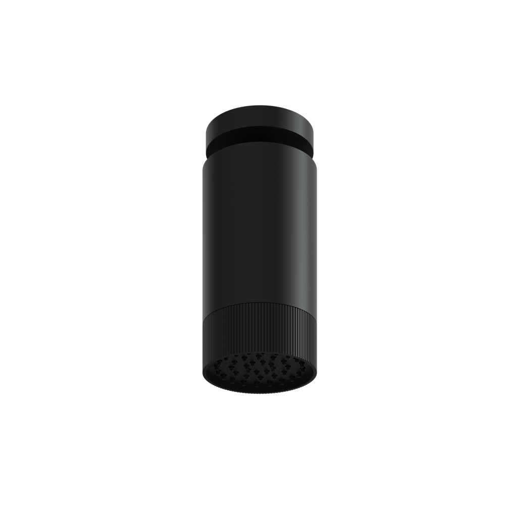 Aquabrass - Rainhead W/Ceiling Arm-Textured Ring