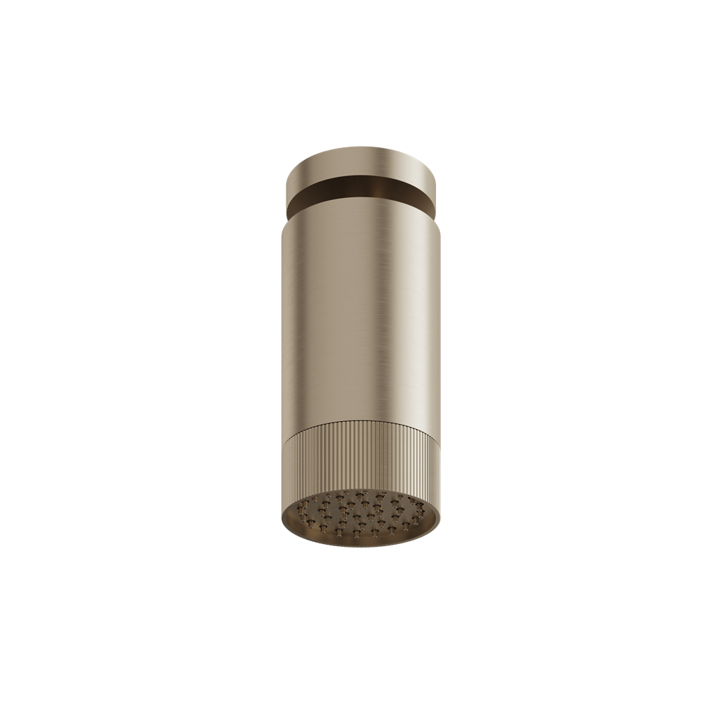 Aquabrass - Rainhead W/Ceiling Arm-Textured Ring