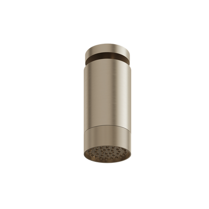 Aquabrass - Rainhead W/Ceiling Arm-Textured Ring