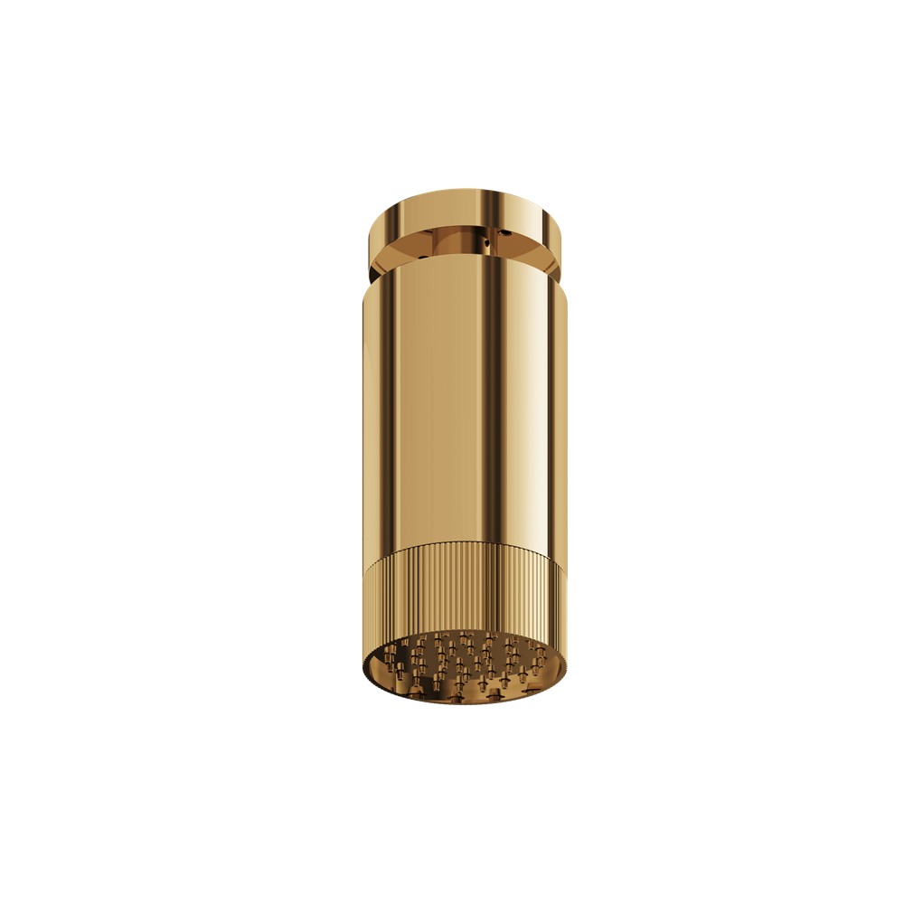 Aquabrass - Rainhead W/Ceiling Arm-Textured Ring