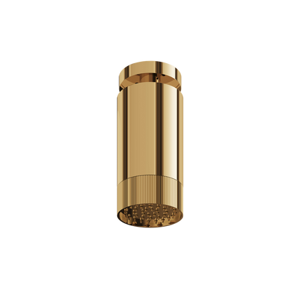Aquabrass - Rainhead W/Ceiling Arm-Textured Ring