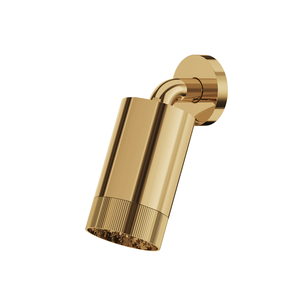 Aquabrass - Rainhead W/Wall Arm-Textured Ring