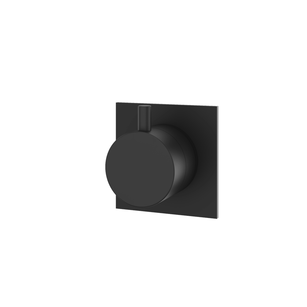 Aquabrass - Square/Round Trim Set - 2 Way Non Shared for 61934 Independent Diverter