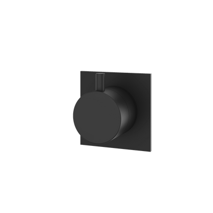 Aquabrass - Square/Round Trim Set - 2 Way Non Shared for 61934 Independent Diverter