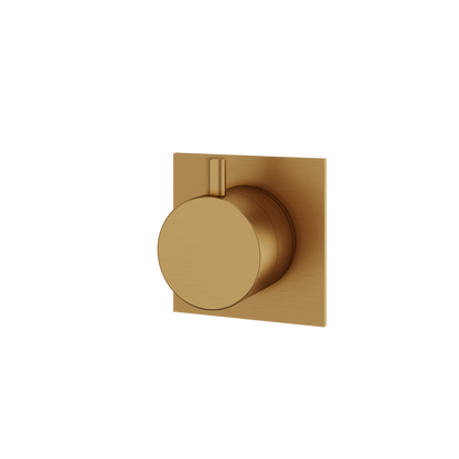Aquabrass - Square/Round Trim Set - 2 Way Shared for 61934 Independent Diverter
