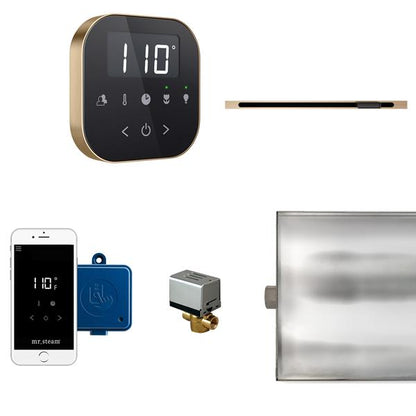 Mr. Steam - Airbutler Linear Steam Shower Control Package With Airtempo Control And Linear Steamhead