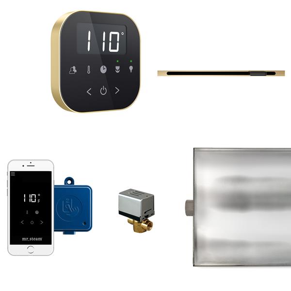 Mr. Steam - Airbutler Linear Steam Shower Control Package With Airtempo Control And Linear Steamhead