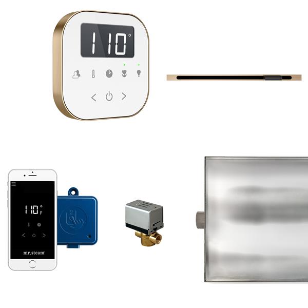 Mr. Steam - Airbutler Linear Steam Shower Control Package With Airtempo Control And Linear Steamhead